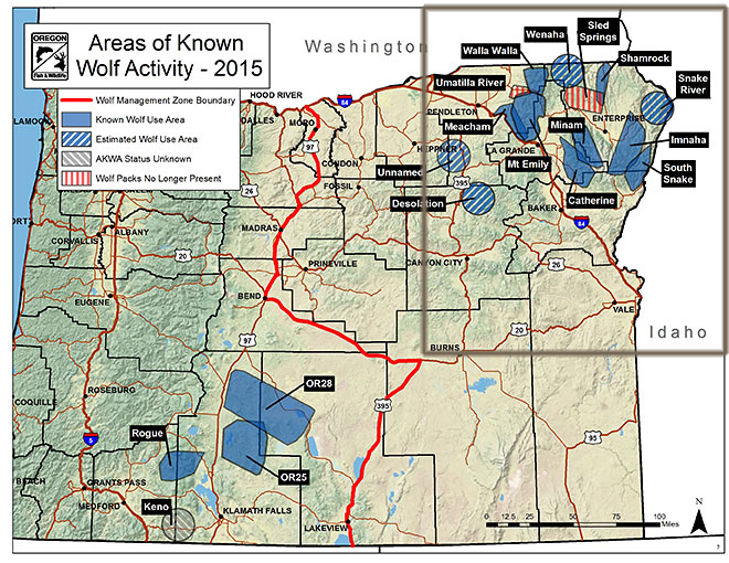 Location of Oregon wolf packs - 2015